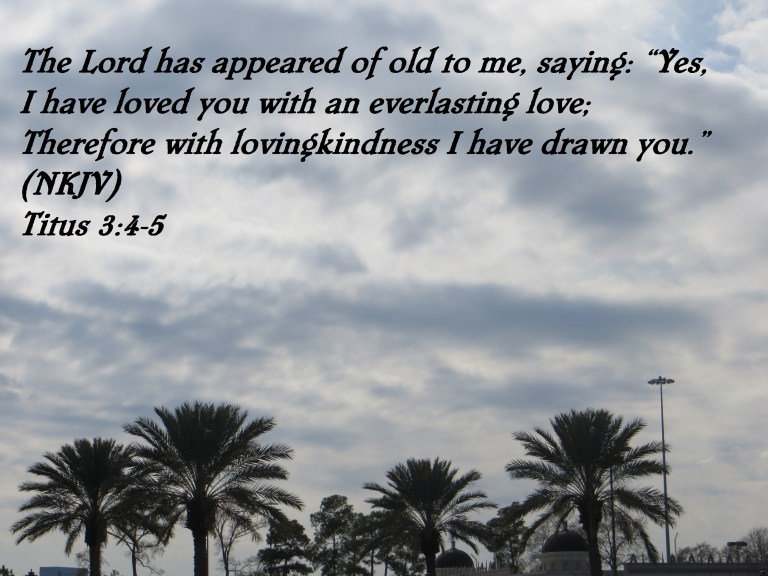 Photo Artist Susan Robertson (1).JPG