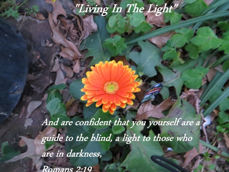 Photo Artist Susan Robertson (12) - Copy.JPG