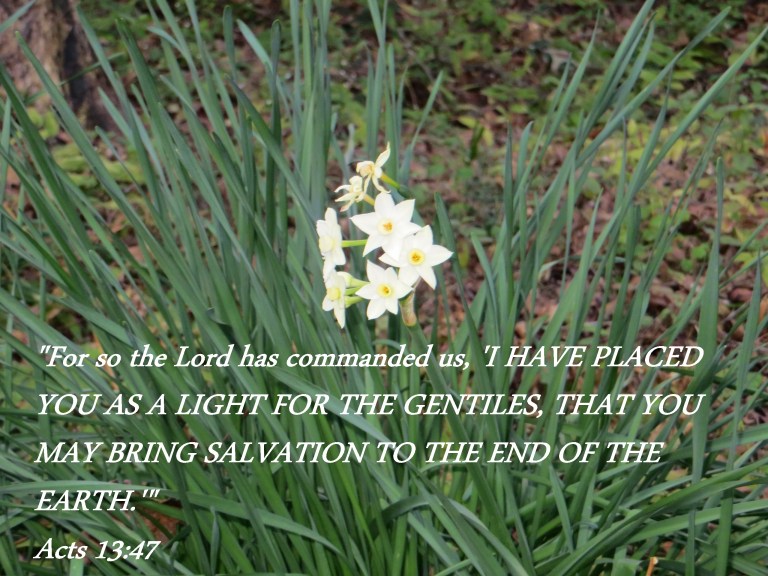 Photo Artist Susan Robertson (3) - Copy.JPG