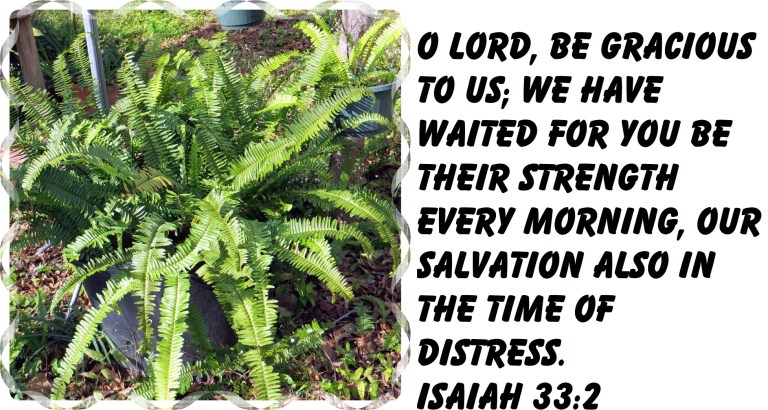 Photo Artist Susan Robertson (6).JPG