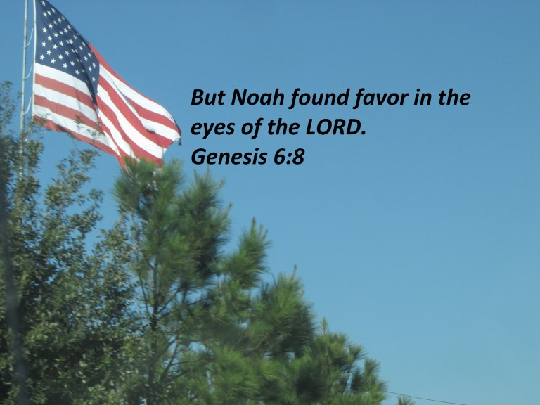 © Photo Artist Susan Ruth Robertson 090025006100 001 - Copy.JPG