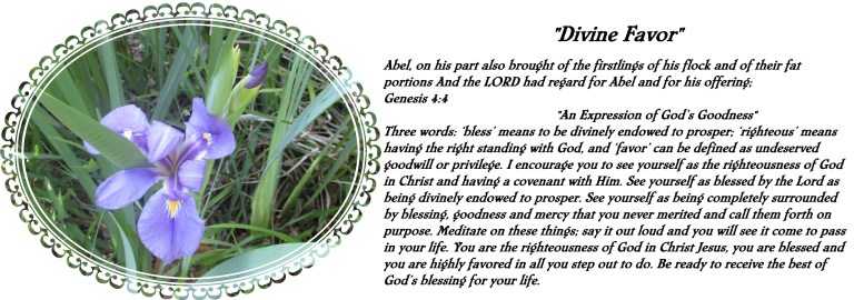 © Photo Artist Susan Ruth Robertson 090025006100 SX 400 IS (7).JPG