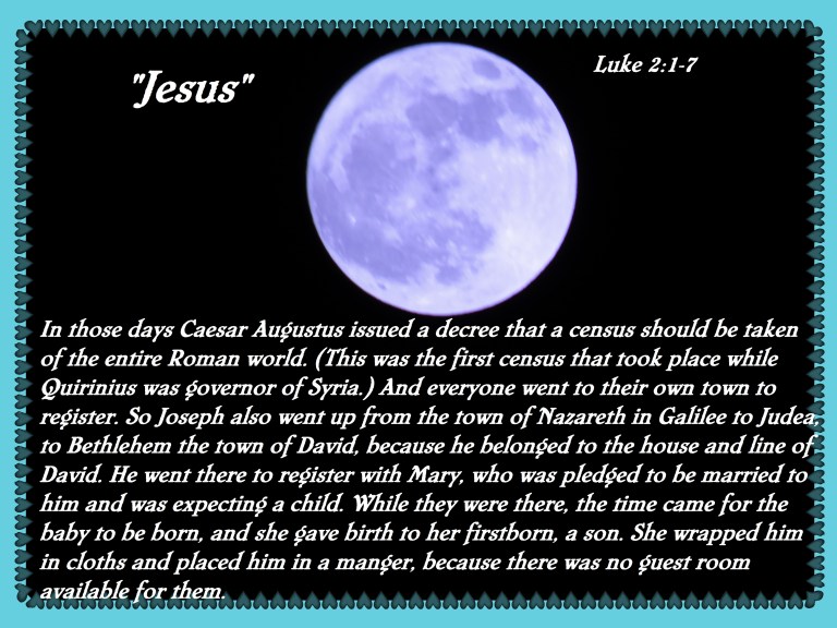 © Photo Artist Susan Ruth Robertson 090025006100 SX 540 IS (14).JPG