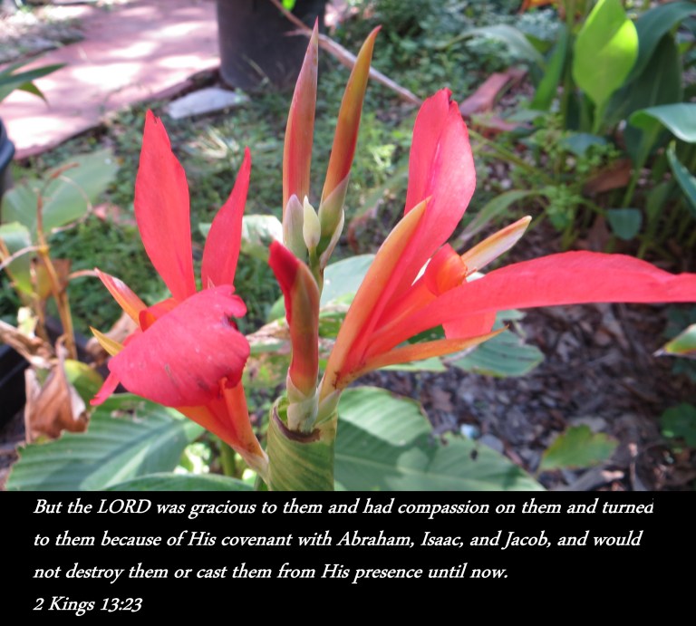 © Photo Artist Susan Ruth Robertson.IMG_2272 (5) - Copy.JPG