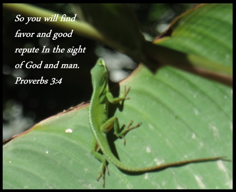 © Photo Artist Susan Ruth Robertson.IMG_2272 (9) - Copy.JPG