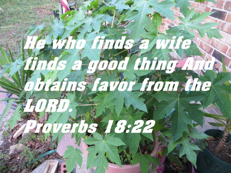 © Photo Artist Susan Ruth Robertson.IMG_2334 (13) - Copy.JPG