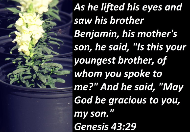 © Photo Artist Susan Ruth Robertson 090025006100 SX540HS 012 - Copy.JPG