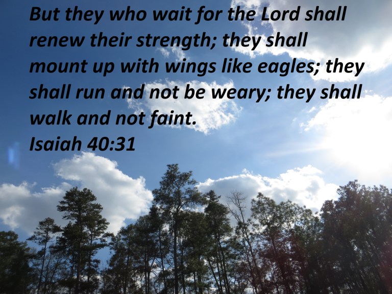 Photo Artist Susan Robertson (6) - Copy.JPG