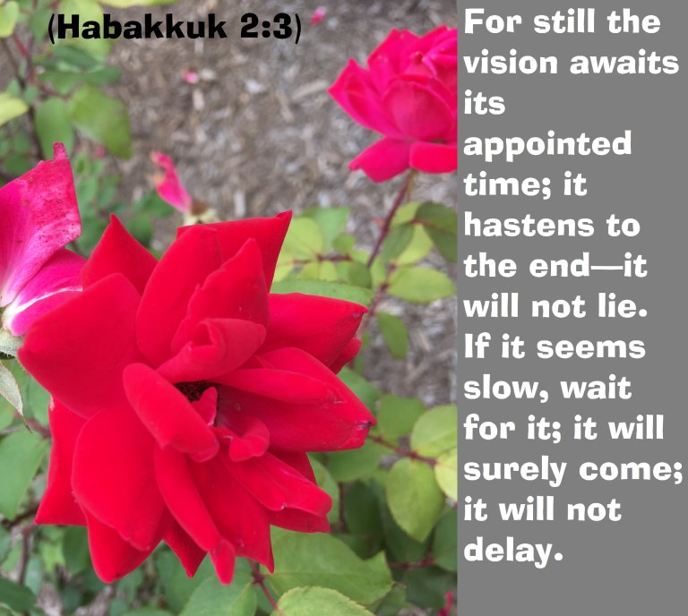 © Photo Artist Susan Ruth Robertson 090025006100 apple phone (46).JPG