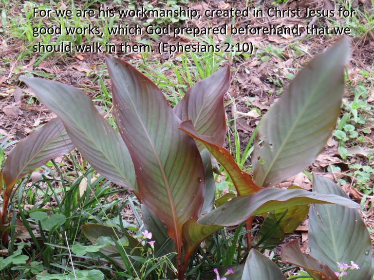 © Photo Artist Susan Ruth Robertson 090025006100 SX 400 IS (109).JPG