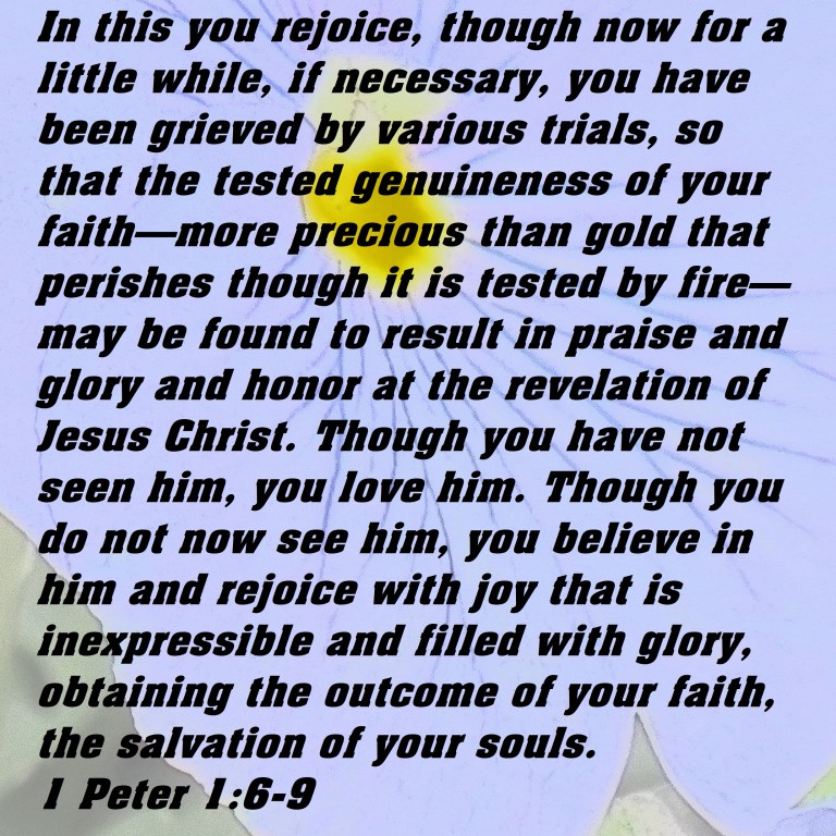 © Photo Artist Susan Ruth Robertson 090025006100 SX 400 IS (30).JPG