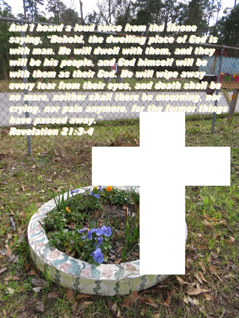 © Photo Artist Susan Ruth Robertson 090025006100 SX 400 IS (44).JPG