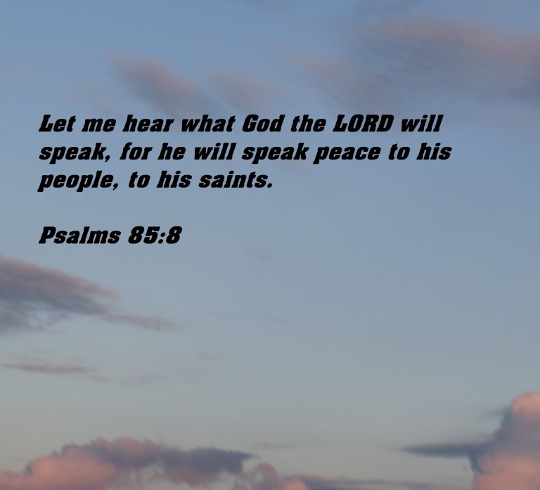 © Photo Artist Susan Ruth Robertson 090025006100 SX 400 IS (73).JPG