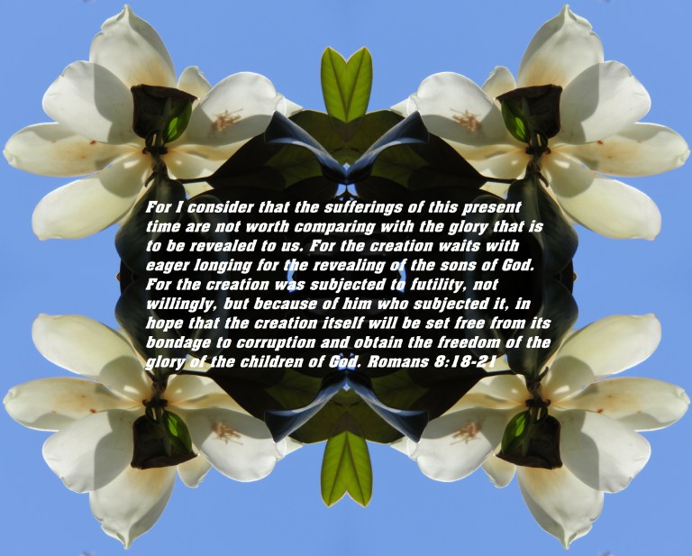 IMG_3025 - Copy (2).JPG