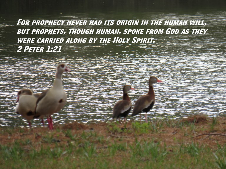 © Photo Artist Susan Ruth Robertson 090025006100 SX 400 (26).JPG