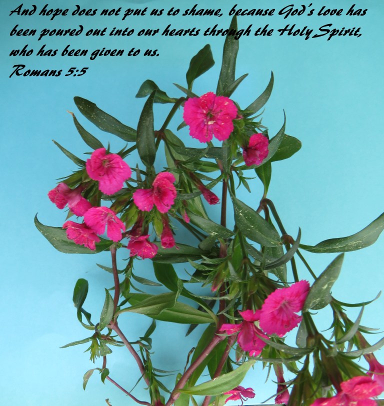 © Photo Artist Susan Ruth Robertson 090025006100 SX 400 IS (104).JPG