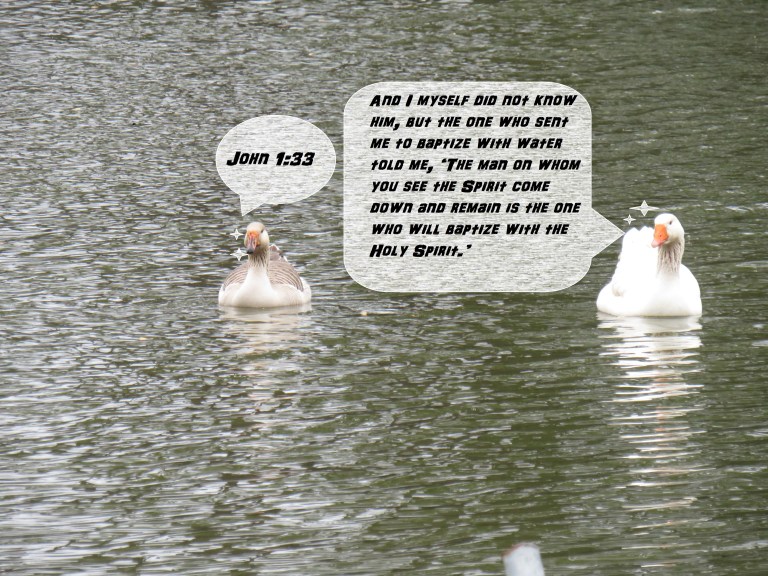 © Photo Artist Susan Ruth Robertson 090025006100 SX 400 IS (35).JPG