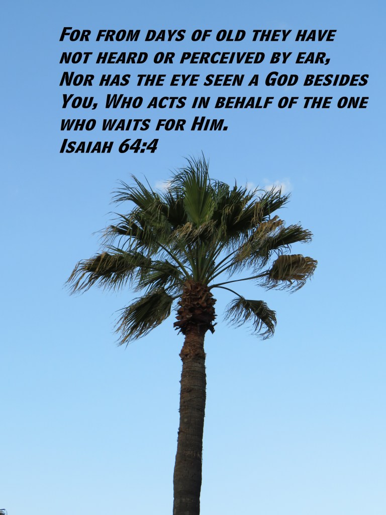 © Photo Artist Susan Ruth Robertson 090025006100 SX 400 IS (65) - Copy.JPG