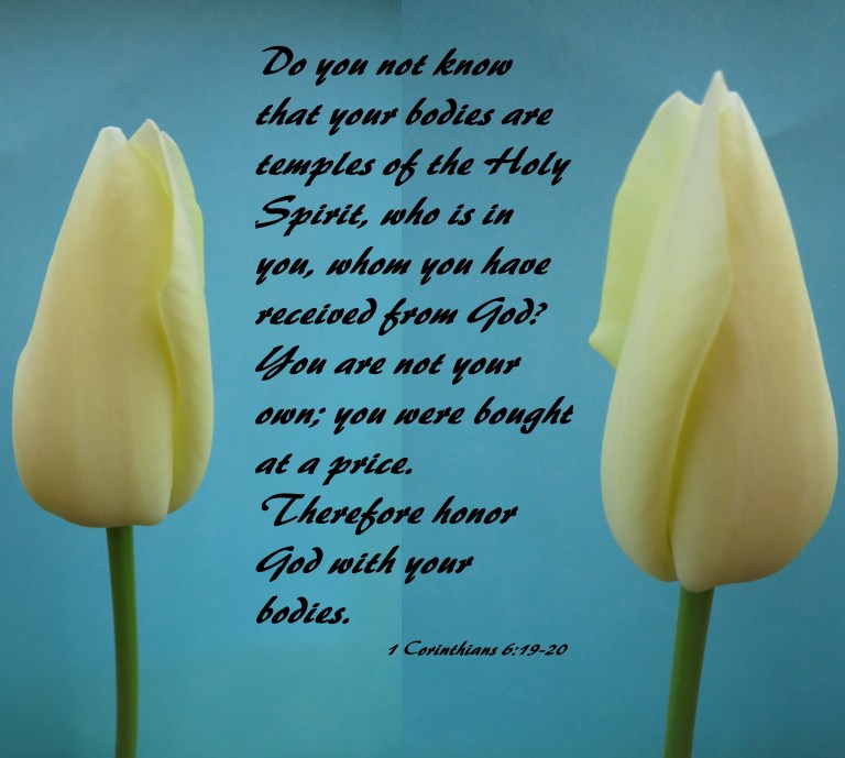 © Photo Artist Susan Ruth Robertson 090025006100 SX 400 IS (81).JPG