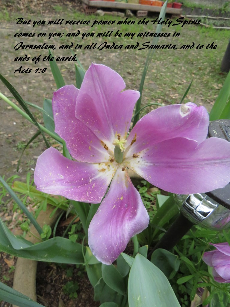 © Photo Artist Susan Ruth Robertson 090025006100 SX 400 IS (94).JPG