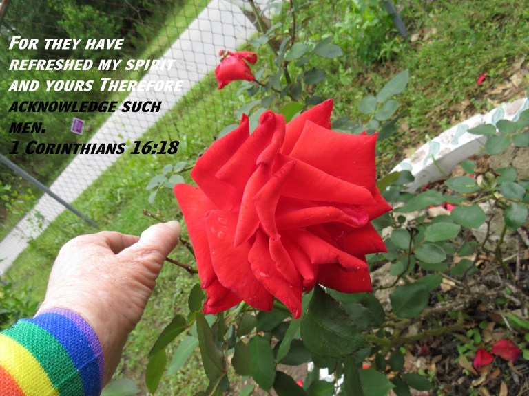 © Photo Artist Susan Ruth Robertson 090025006100 SX 400  (177) - Copy.JPG