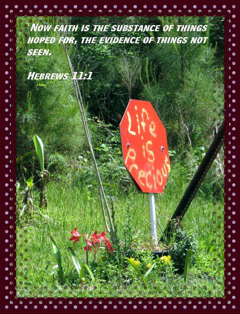 © Photo Artist Susan Ruth Robertson 090025006100 SX 400 (22) - Copy.JPG