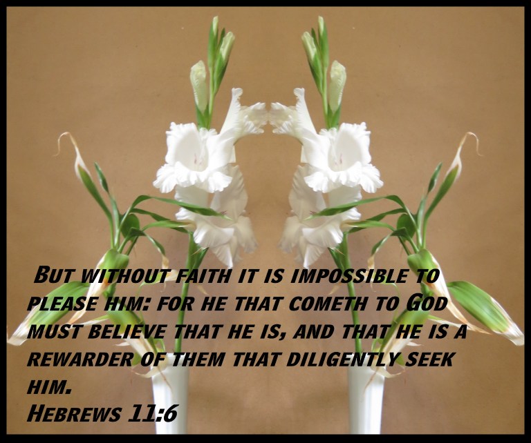 © Photo Artist Susan Ruth Robertson 090025006100 SX 400 (39) - Copy.JPG