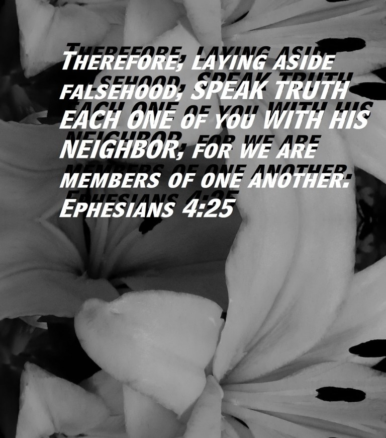 © Photo Artist Susan Ruth Robertson 090025006100 SX 400 (72) - Copy.JPG