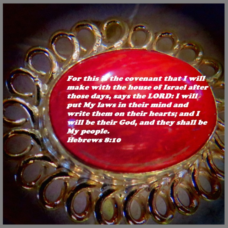 © Photo Artist Susan Ruth Robertson 090025006100 SX 400  (69).JPG