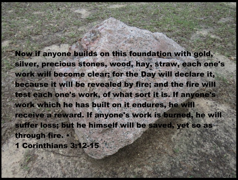 © Photo Artist Susan Ruth Robertson 090025006100 SX 400 (117) - Copy.JPG