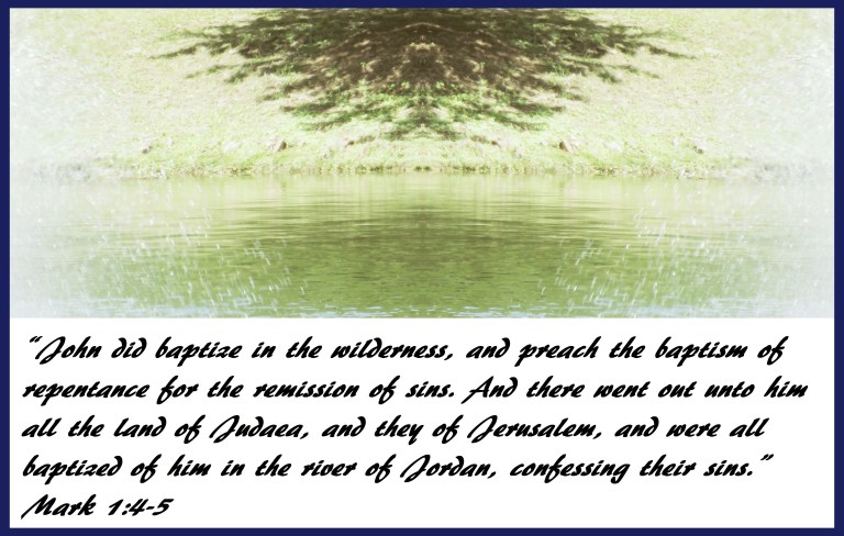 © Photo Artist Susan Ruth Robertson 090025006100 SX 400 (33).JPG