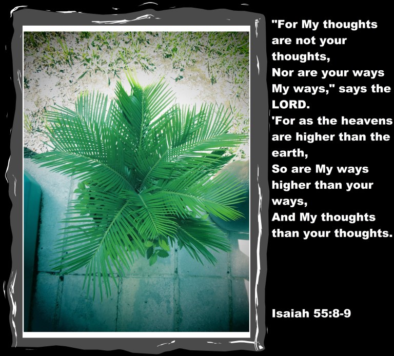 © Photo Artist Susan Ruth Robertson 090025006100 SX 400 (60) - Copy