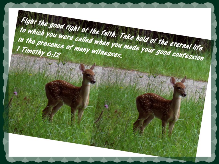 © Photo Artist Susan Ruth Robertson 090025006100 SX 540HS   (137) - Copy.JPG