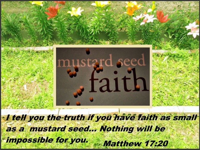 © Photo Artist Susan Ruth Robertson 090025006100 SX540HS 079.JPG