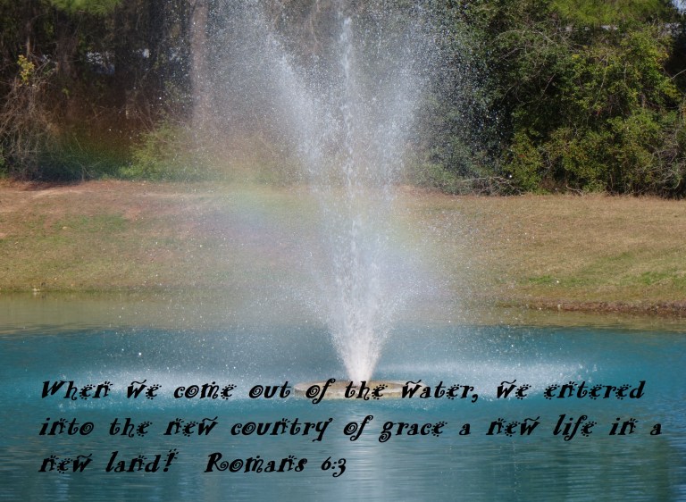 Photo Artist Susan Robertson (4) - Copy.JPG