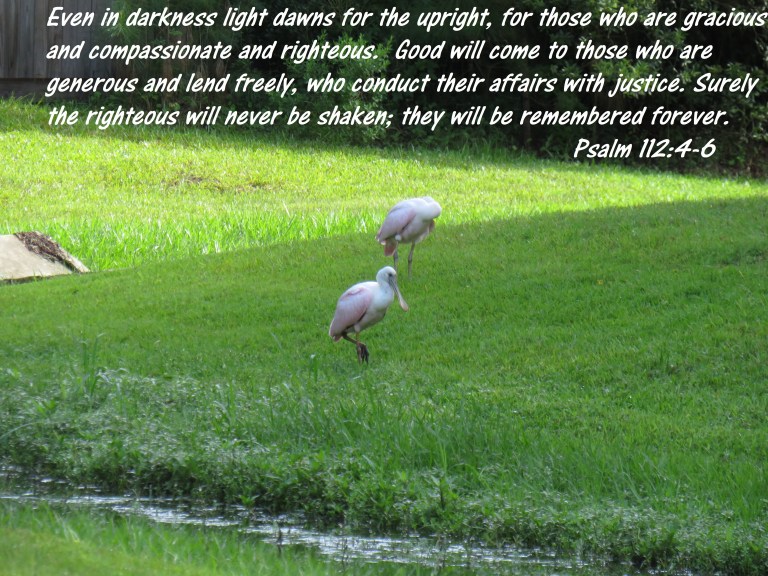 © Photo Artist Susan Ruth Robertson 090025006100 SX 540HS  (17) - Copy.JPG