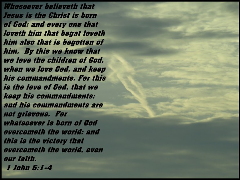 © Photo Artist Susan Ruth Robertson 090025006100 SX 540HS (18) - Copy.JPG