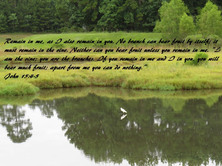 © Photo Artist Susan Ruth Robertson 090025006100 SX 540HS  (36).JPG