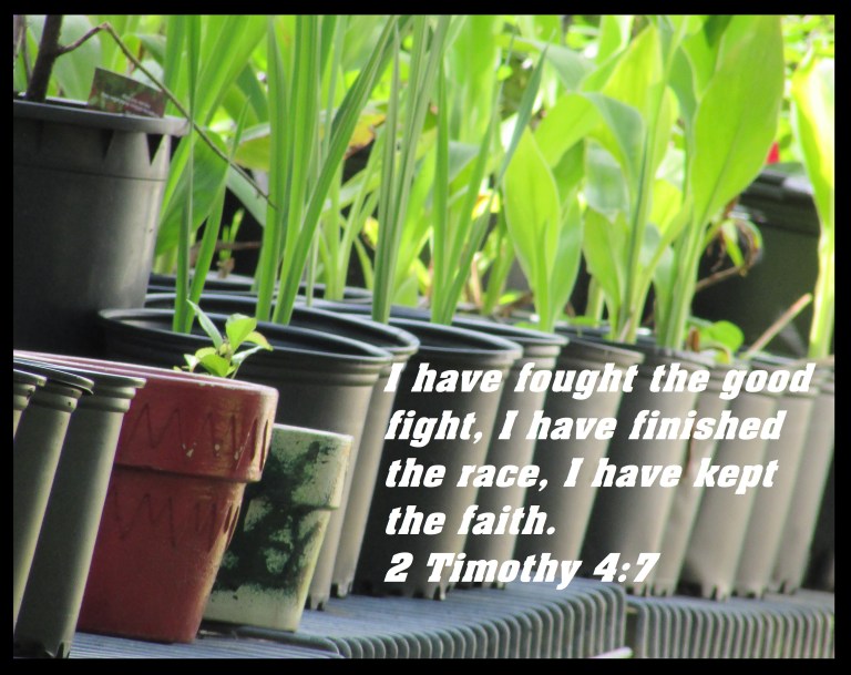 © Photo Artist Susan Ruth Robertson 090025006100 SX 400 (1) - Copy.JPG