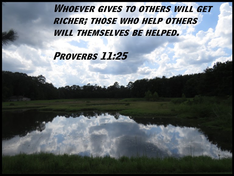 © Photo Artist Susan Ruth Robertson 090025006100 SX 540HS  (13) - Copy.JPG