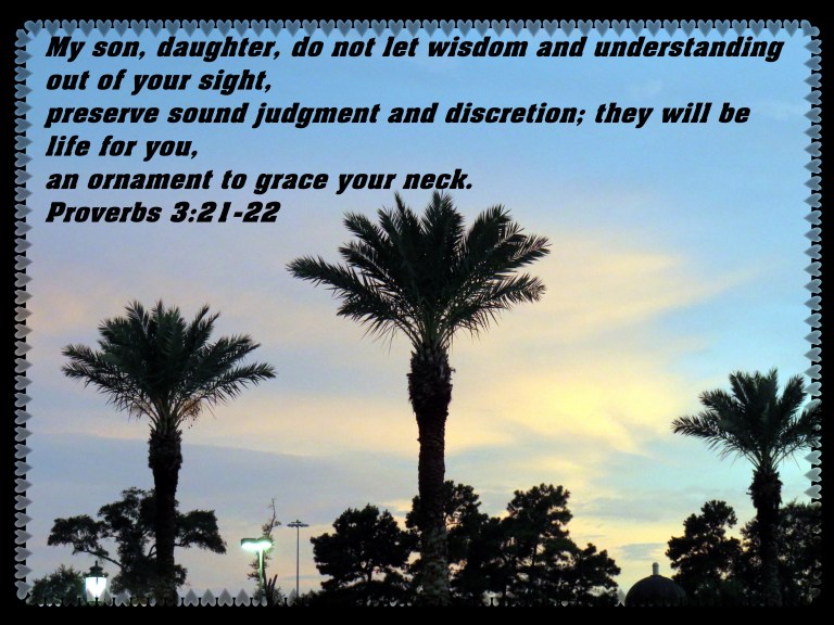 © Photo Artist Susan Ruth Robertson 090025006100 SX 540HS  (19) - Copy.JPG