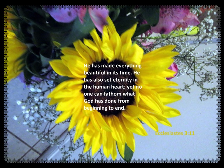 © Photo Artist Susan Ruth Robertson 090025006100 SX 540HS (29) - Copy.JPG