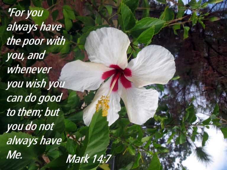 © Photo Artist Susan Ruth Robertson 090025006100 018 - Copy.JPG