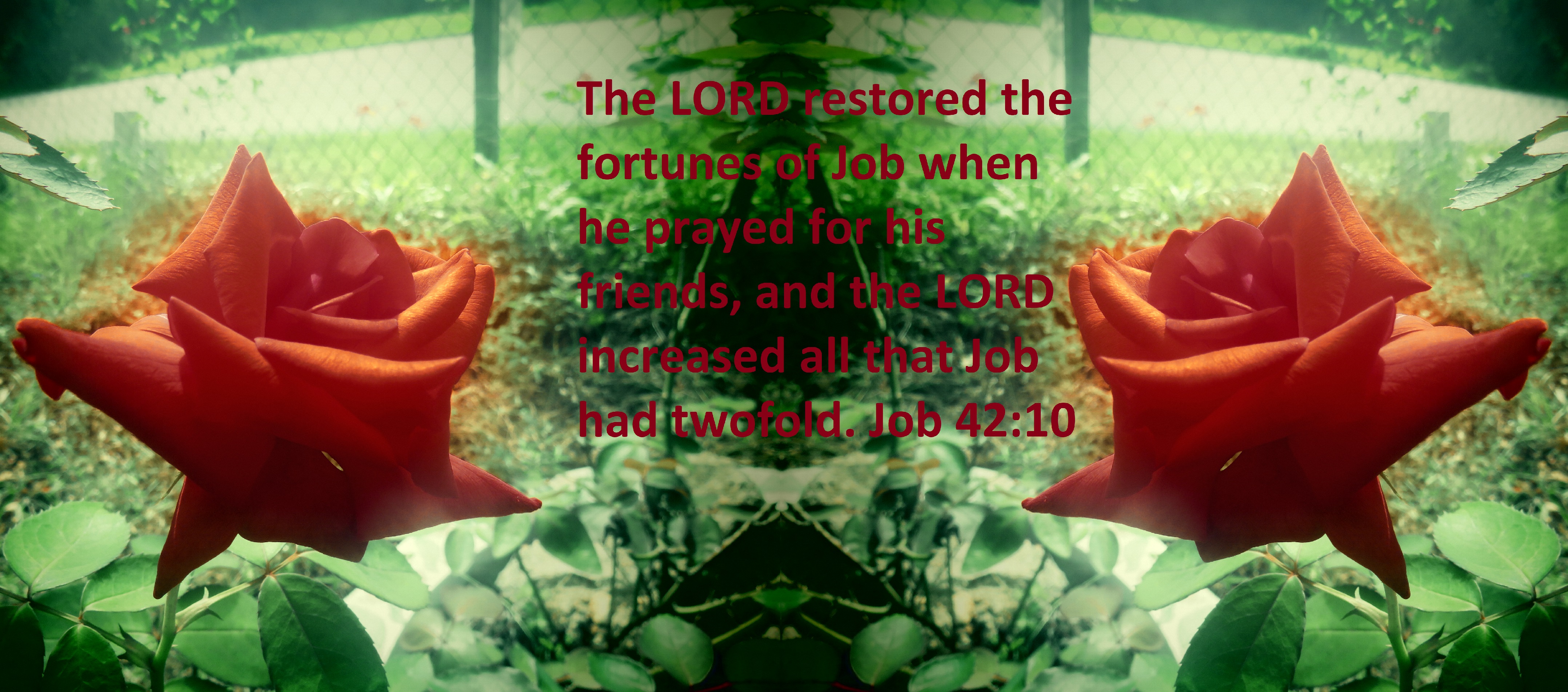 Job Restored “Pray For Friends” –