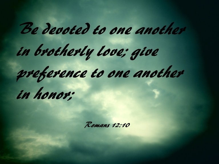 © Photo Artist Susan Ruth Robertson 090025006100 SX 540HS  (105) - Copy.JPG