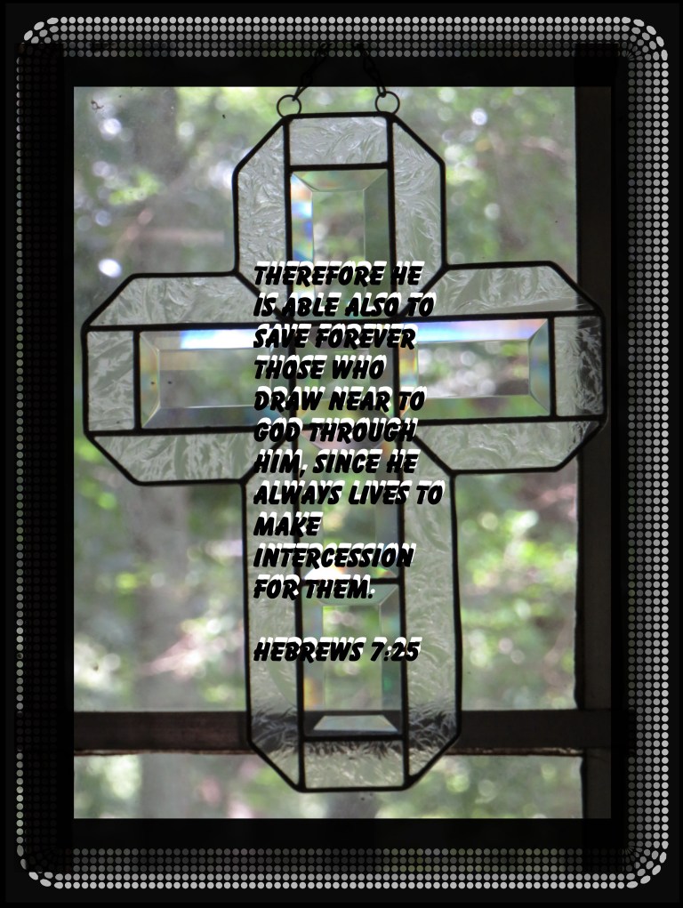 © Photo Artist Susan Ruth Robertson 090025006100 SX 540HS (107) - Copy.JPG