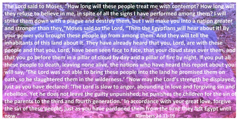 © Photo Artist Susan Ruth Robertson 090025006100 SX 540HS (166) - Copy.JPG