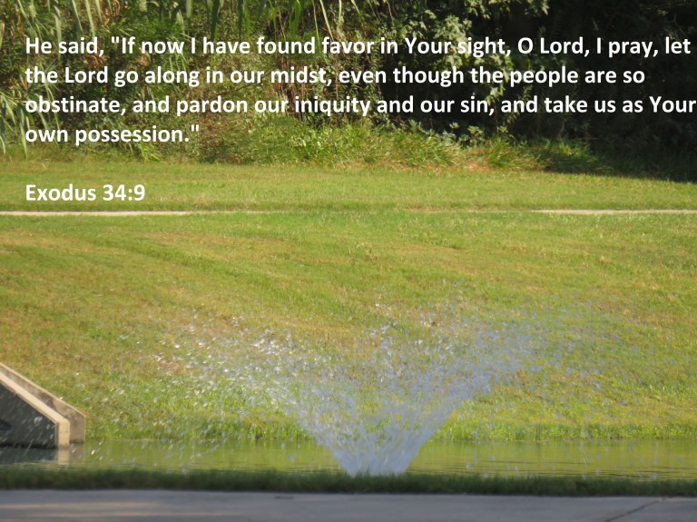 © Photo Artist Susan Ruth Robertson 090025006100 SX 540HS  (244) - Copy.JPG