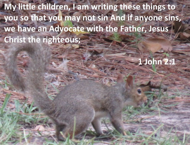 © Photo Artist Susan Ruth Robertson 090025006100 SX 540HS (25) - Copy.JPG