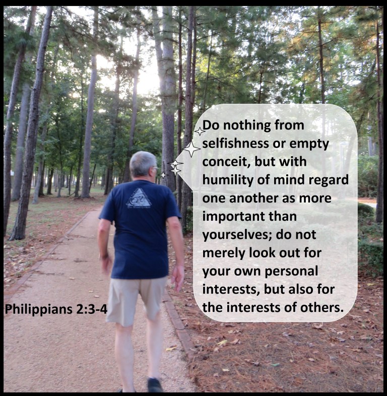 © Photo Artist Susan Ruth Robertson 090025006100 SX 540HS  (31) - Copy.JPG